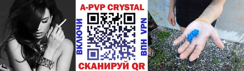 A PVP СК Новосибирск
