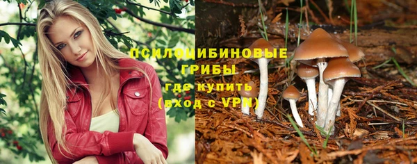 бошки Михайловск