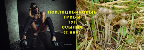 бошки Михайловск