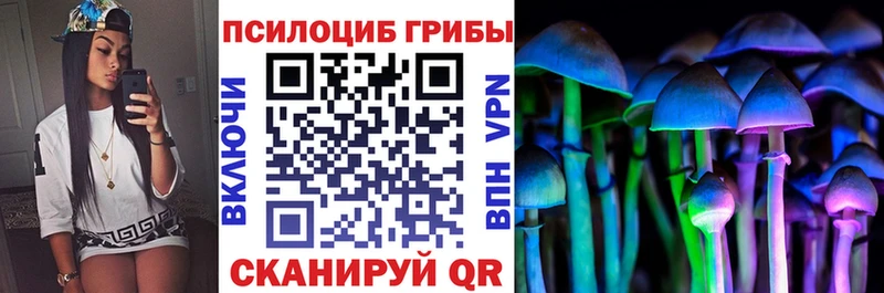 мега зеркало  Новосибирск  Галлюциногенные грибы мицелий 